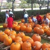 Buttons and Bows Academy, North Lauderdale