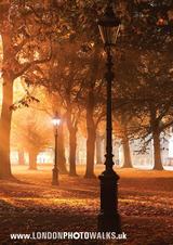Green Park, London Photo Walks.uk, ENFIELD