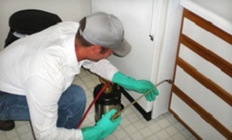  Profile Photos of Pest control plainfield NJ Pest Control Plainfield NJ 211 Adamsville rd - Photo 1 of 5