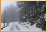 V C Travels, Bhikaji Cama Place