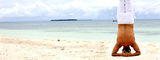  Miami Back & Neck Specialists | Key West 2011 Flagler Ave 