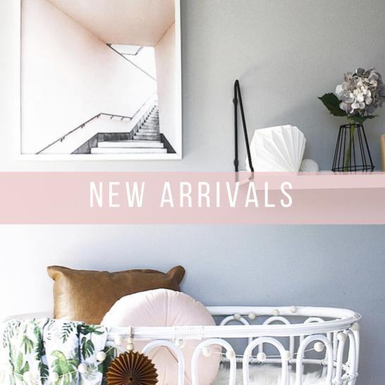  New Album of Norsu interiors 356 Wattletree Rd - Photo 8 of 11