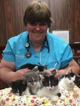 Profile Photos of The Little Cat Clinic