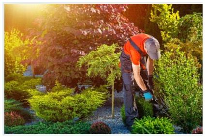 Irrigation  Profile Photos of Mendoza Landscaping Columbia SC 1510 Bluff Rd - Photo 5 of 5
