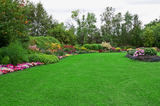  Mendoza Landscaping Columbia SC 1510 Bluff Rd 