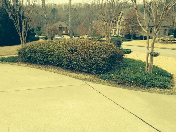  Profile Photos of Robles Lawn Care and Cleaning Services 928 6th St SW - Photo 1 of 1