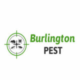 Pest Control Burlington, Burlington