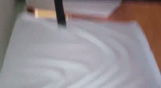 Pest R Gone - Pest  Control Toronto.mp4