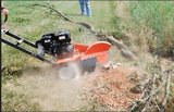 Sunshine Coast Tree Lopping Caloundra, Caloundra