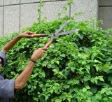 Riverside Tree Service Co, Riverside
