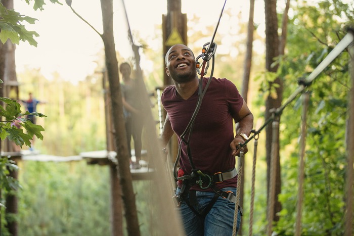  New Album of Go Ape Alice Holt Alice Holt Forest, Bucks Horn Oak, Farnham - Photo 1 of 2