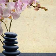  Profile Photos of Gifts of Healing 2120 W Old Shakopee Rd #3 - Photo 3 of 4