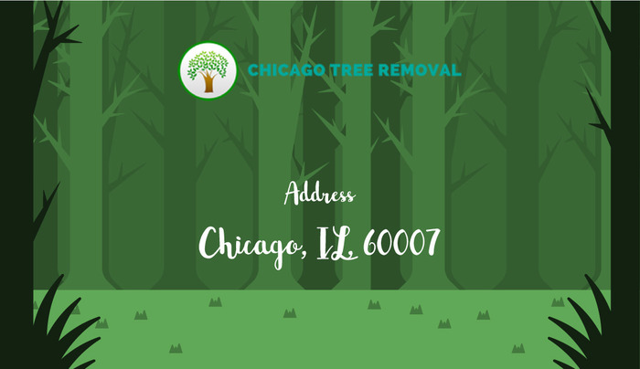  New Album of Chicago Tree Removal WILL PROVIDE WHEN GMB IS VERIFIED - Photo 2 of 4