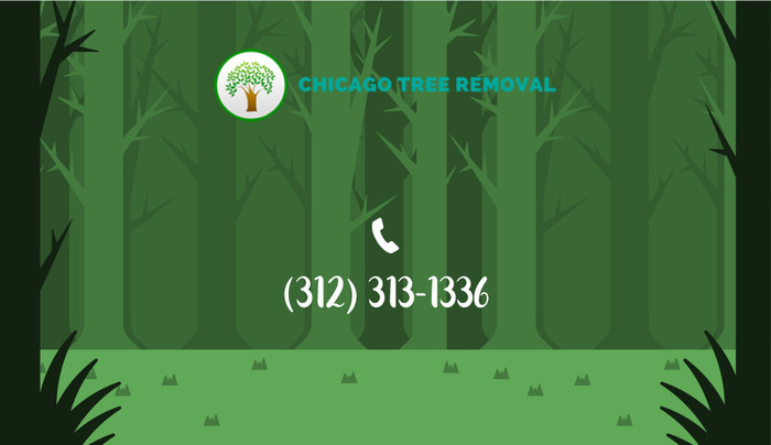  New Album of Chicago Tree Removal WILL PROVIDE WHEN GMB IS VERIFIED - Photo 3 of 4