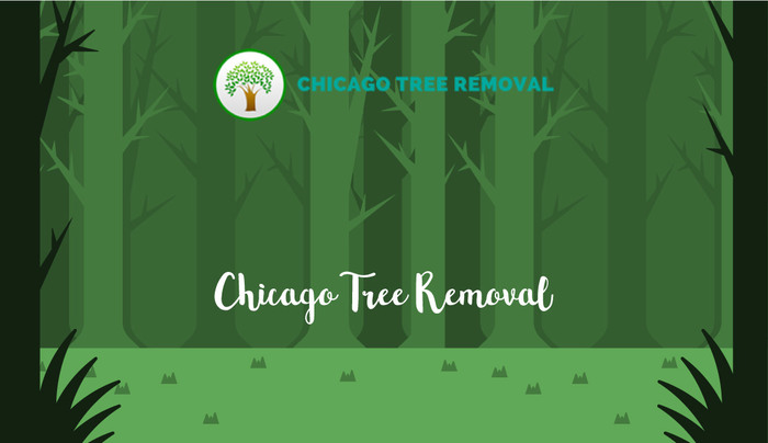  New Album of Chicago Tree Removal WILL PROVIDE WHEN GMB IS VERIFIED - Photo 4 of 4