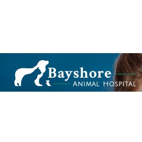  Profile Photos of Bayshore Animal Hospital 325 SE Marlin - Photo 1 of 4