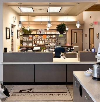  Profile Photos of Bayshore Animal Hospital 325 SE Marlin - Photo 3 of 4