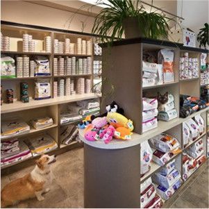  Profile Photos of Bayshore Animal Hospital 325 SE Marlin - Photo 4 of 4
