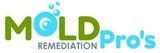 Mold Remediation Pros, Atlanta