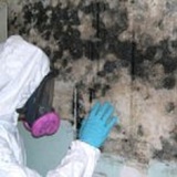 Mold Remediation Pros, Atlanta