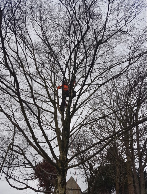 Profile Photos of Round Tree Solutions 28 Marsh Green Cl - Photo 1 of 5