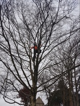 Round Tree Solutions 28 Marsh Green Cl 