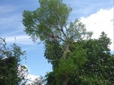 Round Tree Solutions, Derby