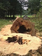 Round Tree Solutions, Derby