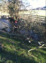 Round Tree Solutions, Derby