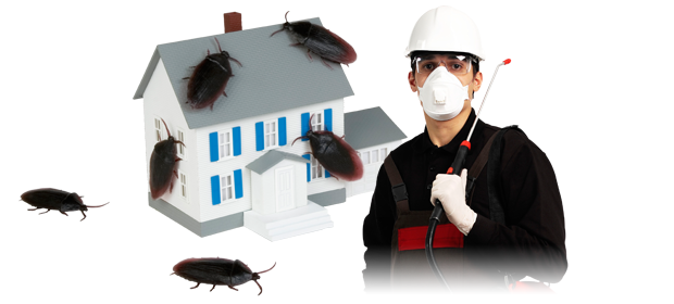  Pest Control  of North Essex Pest Control 143 High Road - Photo 1 of 15