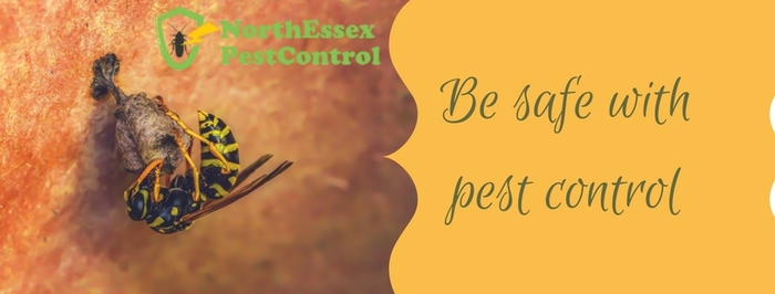  Pest Control Services of North Essex Pest Control 143 High Road - Photo 11 of 11