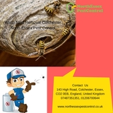  North Essex Pest Control 143 High Road 