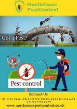  North Essex Pest Control 143 High Road 