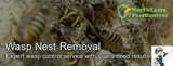 North Essex Pest Control, Essex