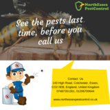 North Essex Pest Control, Essex