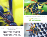 North Essex Pest Control, Essex
