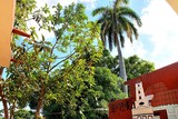 Hostal Los Rodriguez, Trinidad