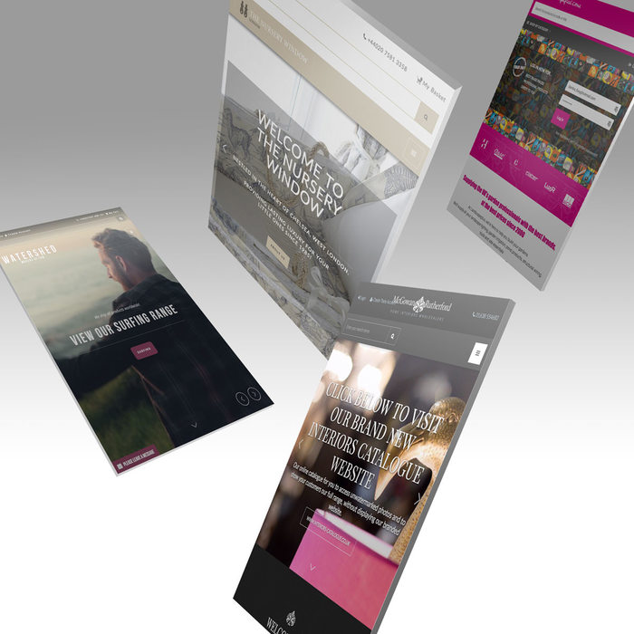  Ecommerce website design and development of Ecomsilver - Websites for businesses 6 - 8 Dyer street - Photo 4 of 6