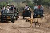  Bhati Tours & Travels 21-C, Gopal Bari, Sanjay Marg, Jaipur- 302001 