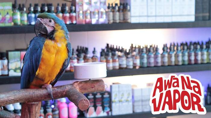  Profile Photos of Awa Na Vapor Kava Bar 45 North Federal Highway - Photo 3 of 9