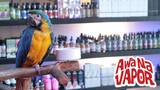  Awa Na Vapor Kava Bar 45 North Federal Highway 