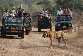  Profile Photos of Rajasthan Tour Operator Enticing Tour- 3-JA-18 Jawahar Nagar, Jaipur - 302004 - Photo 2 of 9