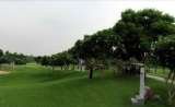  Viktorianz Plot No 252, Sector 28, Golf Course Road Near DPS 