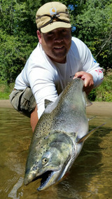 Betts Guide Service-Day Fishing Trips to the Wildest River of Michigan, Mason