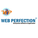 Web Perfection Technology, Delhi