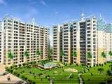 The Amrapali Group, noida