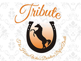 Tribute Restaurant, Udaipur