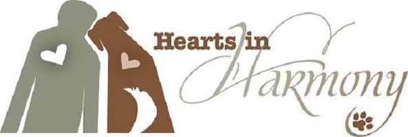  Hearts in Harmony of Hearts in Harmony 17008 Hamilton Station Road - Photo 3 of 11