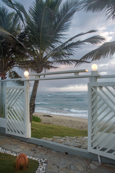  Profile Photos of Blue Paradise Dr 5 Cabarete - Photo 44 of 52