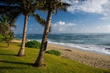 Blue Paradise Dr 5 Cabarete 